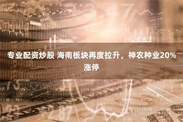 专业配资炒股 海南板块再度拉升，神农种业20%涨停