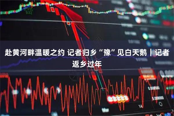 赴黄河畔温暖之约 记者归乡“豫”见白天鹅｜记者返乡过年