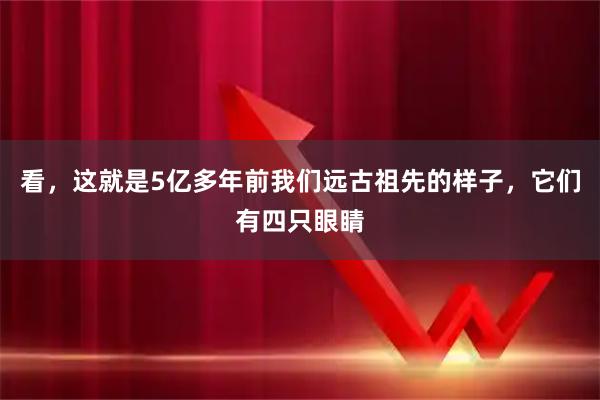 看,这就是5亿多年前我们远古祖先的样子,它们有四只眼睛