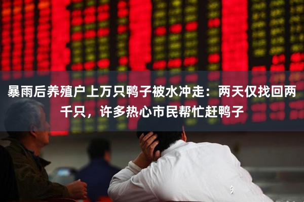 暴雨后养殖户上万只鸭子被水冲走:两天仅找回两千只,许多热心市民帮忙赶鸭子